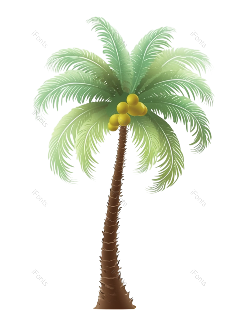 装饰图片,元素元素,插画PNG,树叶免抠素材